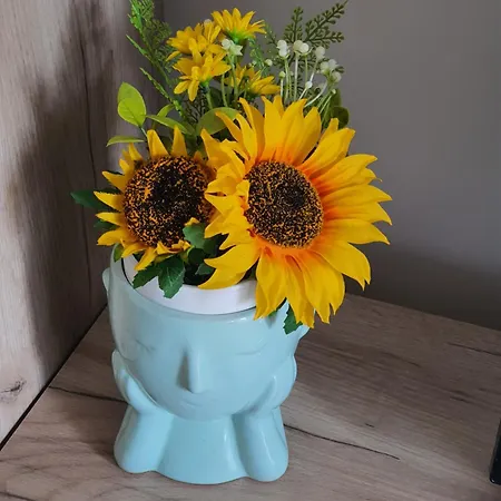 Family Lux Raj Vrnjačka Banja