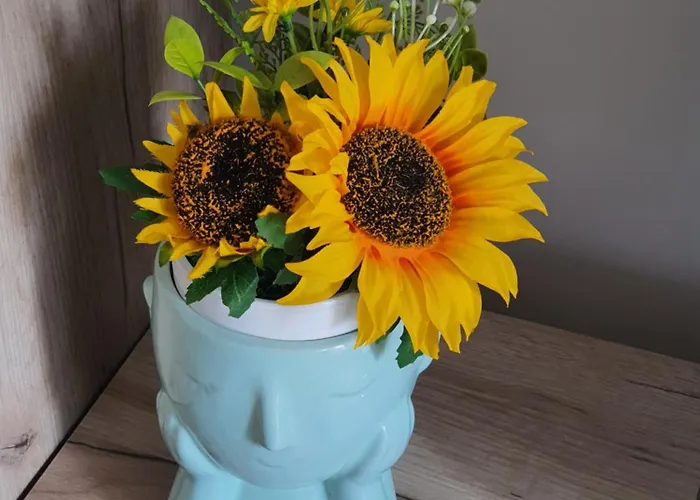 Family Lux Raj Врнячка-Баня